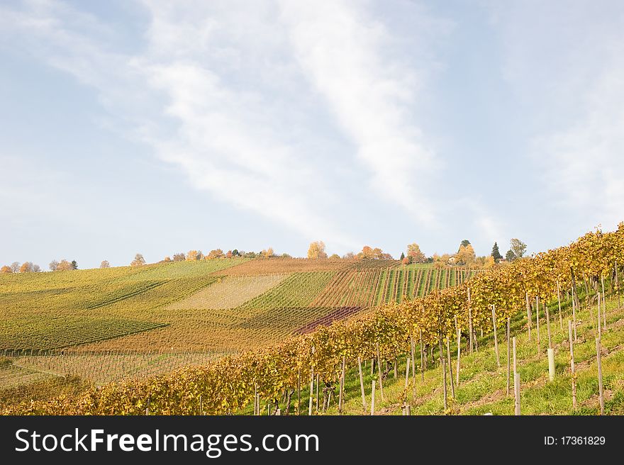 Colored Swabian vineyard in autumn after the vintage