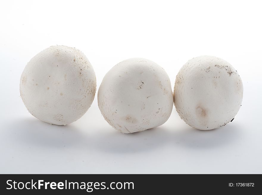 Mushrooms in a white background