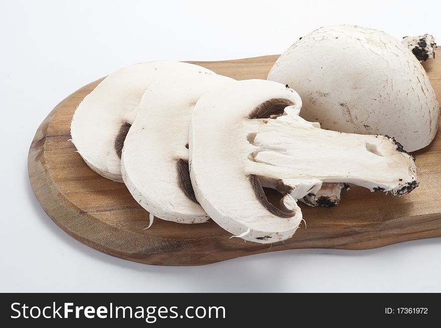 Mushrooms in a white background