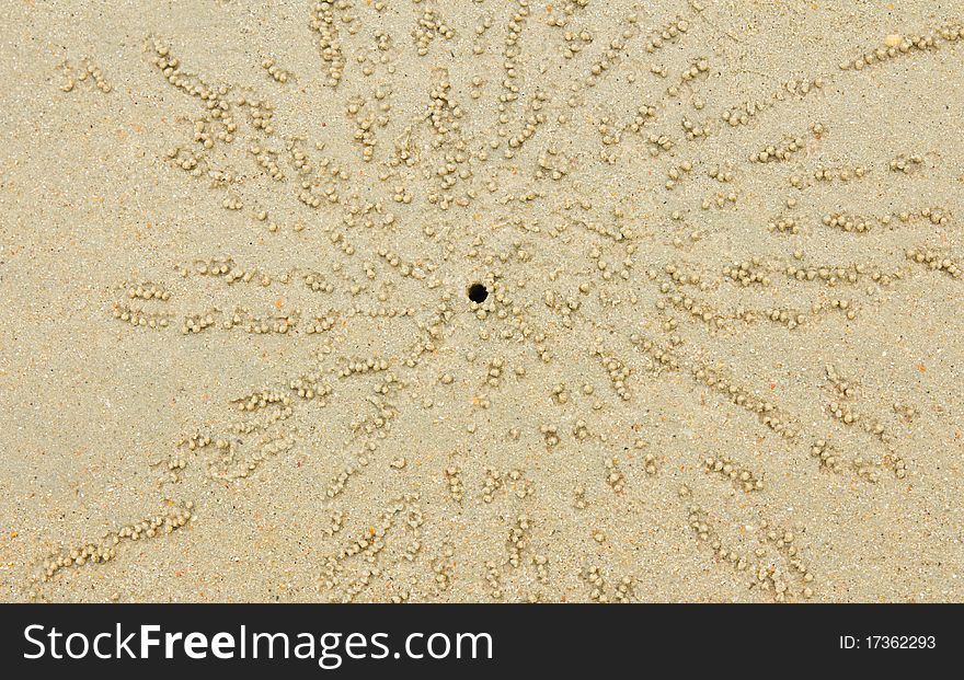 Burrow of crab in sand on the beach Thailand