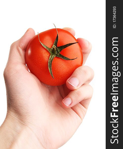 Hand holding tomato. selection