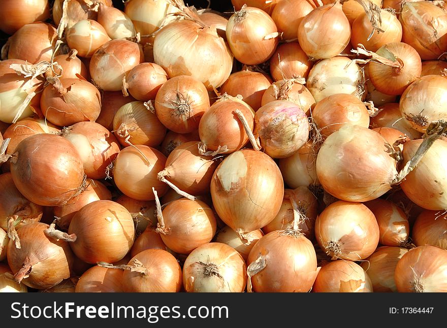 As a background a lot of fresh onions. As a background a lot of fresh onions