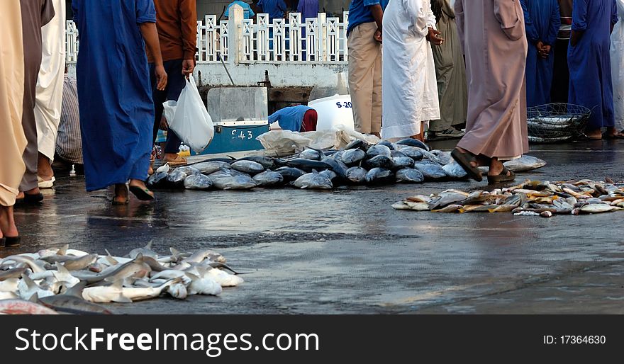 Early morning outdoor fish market in Sharjah port, UAE. Early morning outdoor fish market in Sharjah port, UAE