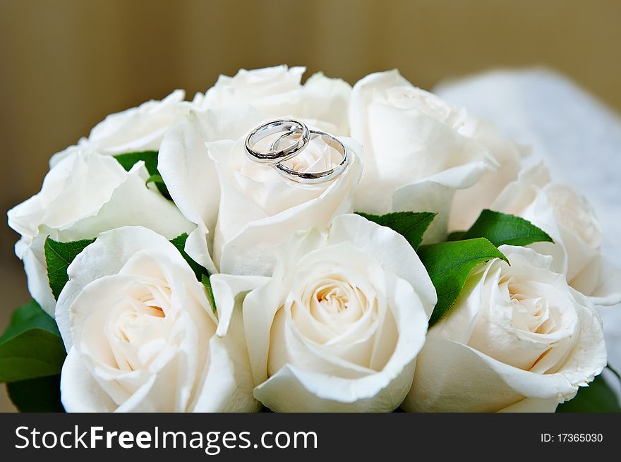 Gold wedding rings on the flower white rose