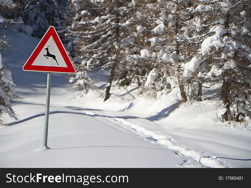 Keep attention: ungulates crossing road. The italian typical advice. But tarmac is deeply under snow…. Keep attention: ungulates crossing road. The italian typical advice. But tarmac is deeply under snow…