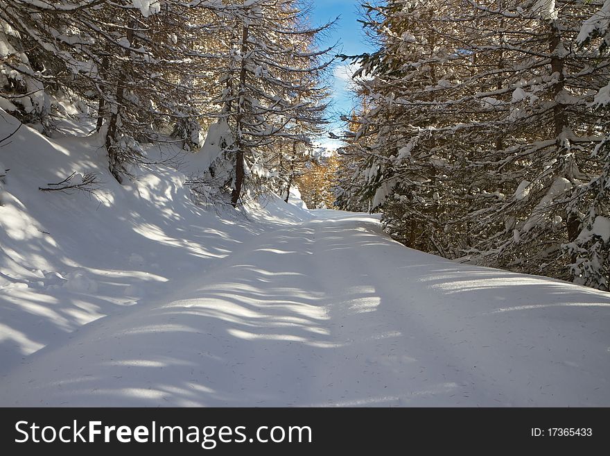 Road to Mortirolo Pass during winter. 1900 meters on the sea-level. Tarmac is under deep snow. Brixia province, Lombardy region, Italy. Road to Mortirolo Pass during winter. 1900 meters on the sea-level. Tarmac is under deep snow. Brixia province, Lombardy region, Italy