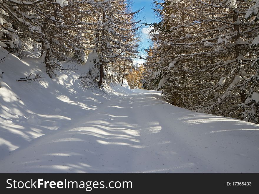 Road Under Snow