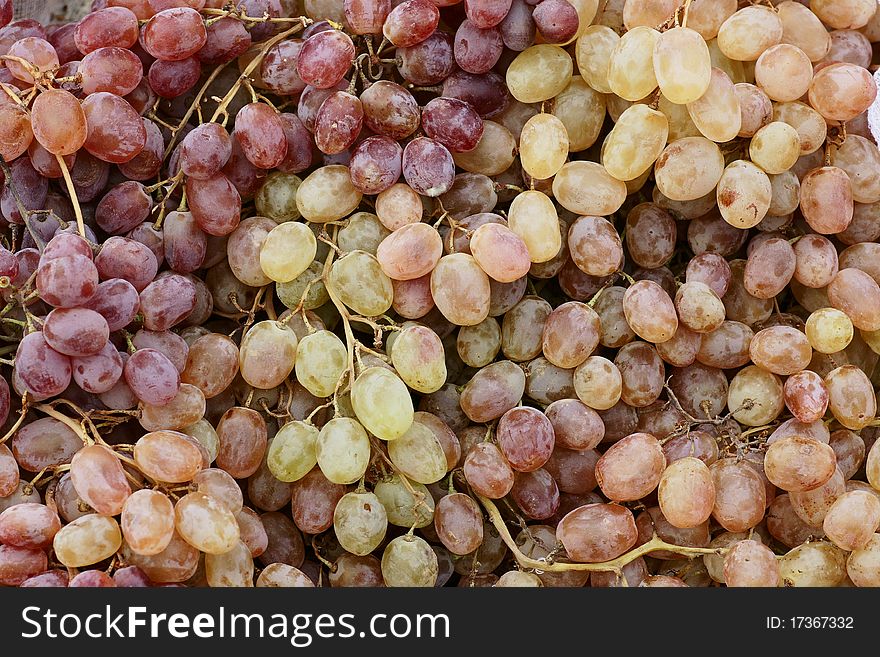 A Cluster Of Ripening Grapes