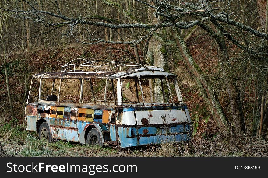 Rusty old bus in forest