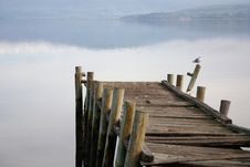 Old Broken Pier With Seagull Royalty Free Stock Photography Old Broken Pier With Seagull Royalty Free Stock Photography