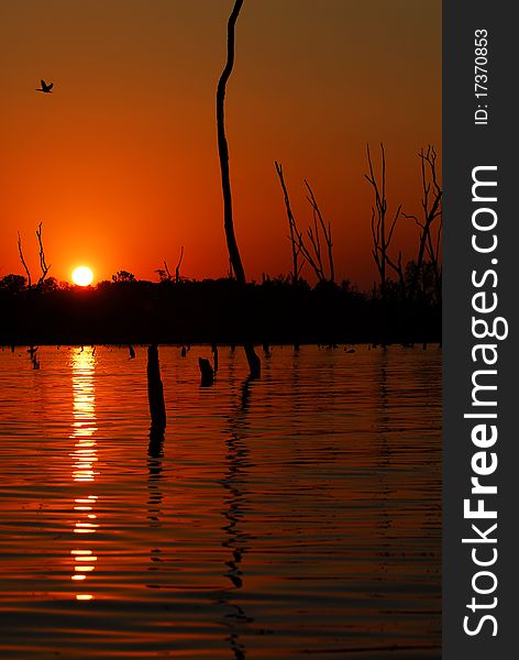 A red sunset over the water with many dead tree sticking out of the lake. A red sunset over the water with many dead tree sticking out of the lake.