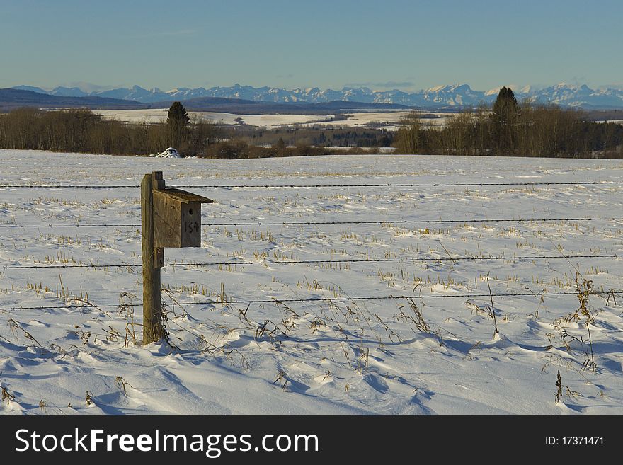 Bird house on a Canadian praiire winter with view of the rocky Mountains, Alberta, Canada. Bird house on a Canadian praiire winter with view of the rocky Mountains, Alberta, Canada