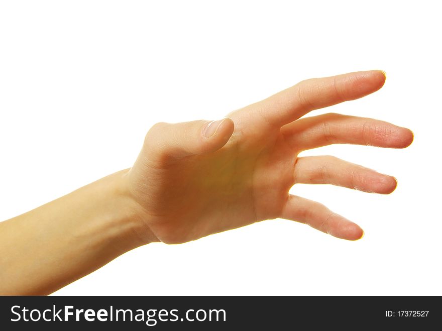 Open female hand isolated on a white background