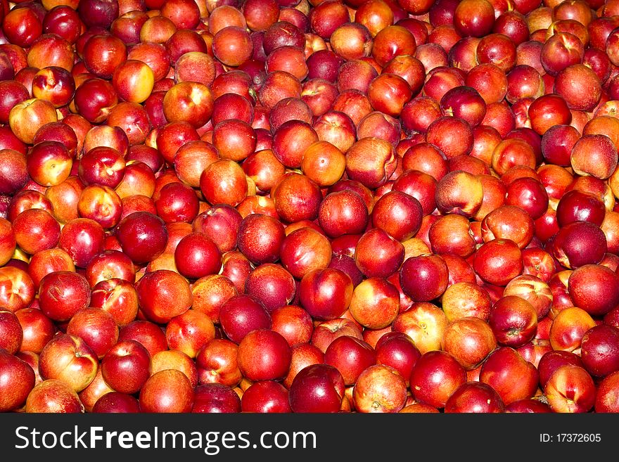 Red ripe nectarines wholesale in a fruit market. Red ripe nectarines wholesale in a fruit market