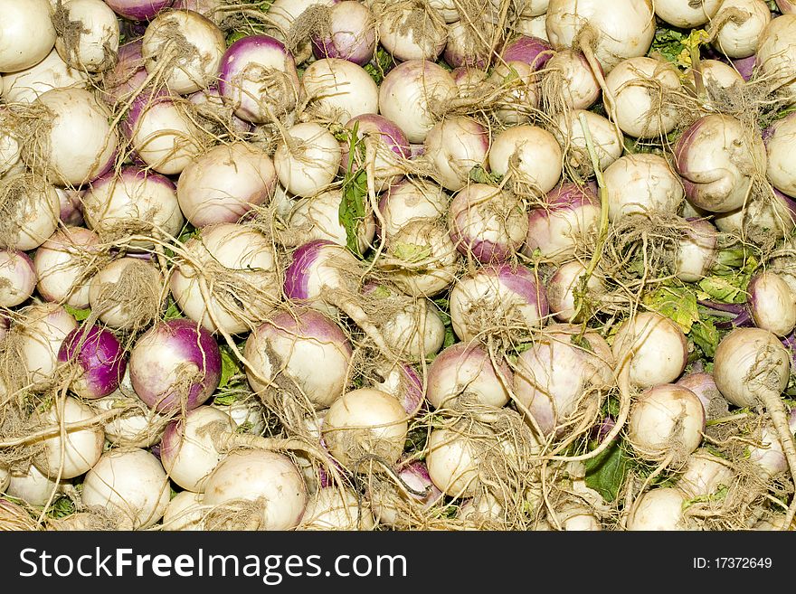 White turnips wholesale in a fruit market. White turnips wholesale in a fruit market
