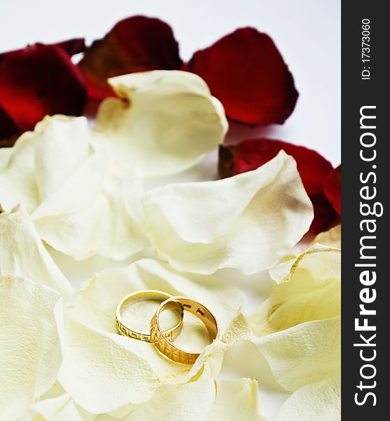 Rings lie on the petals of tea-rose