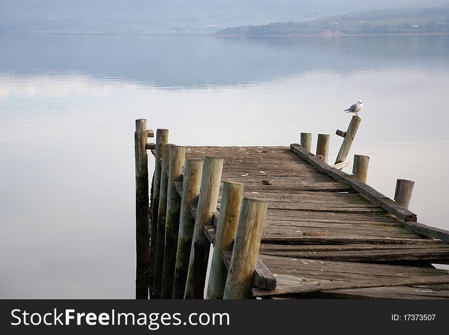 Old Broken Pier With Seagull