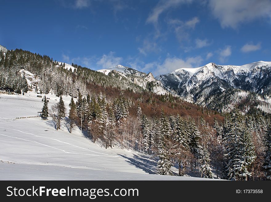 Winter landscape, photo taken in romania red mountain