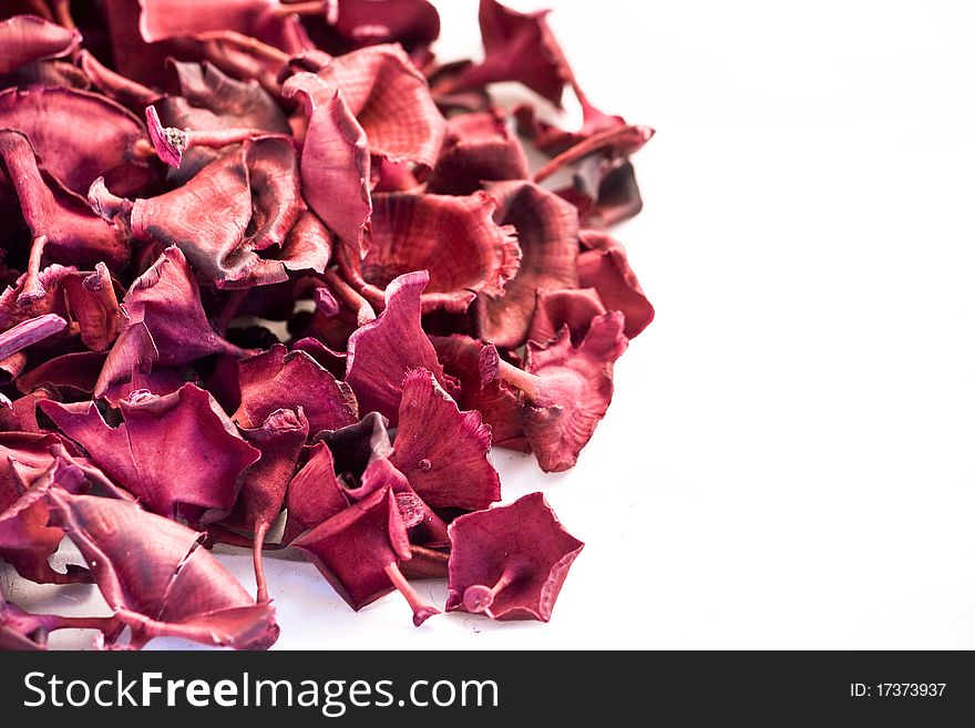 Christmas red, white and purple potpourri flowers on white background. Christmas red, white and purple potpourri flowers on white background
