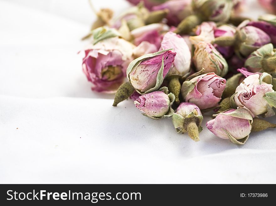 Roses Flowers On White Background