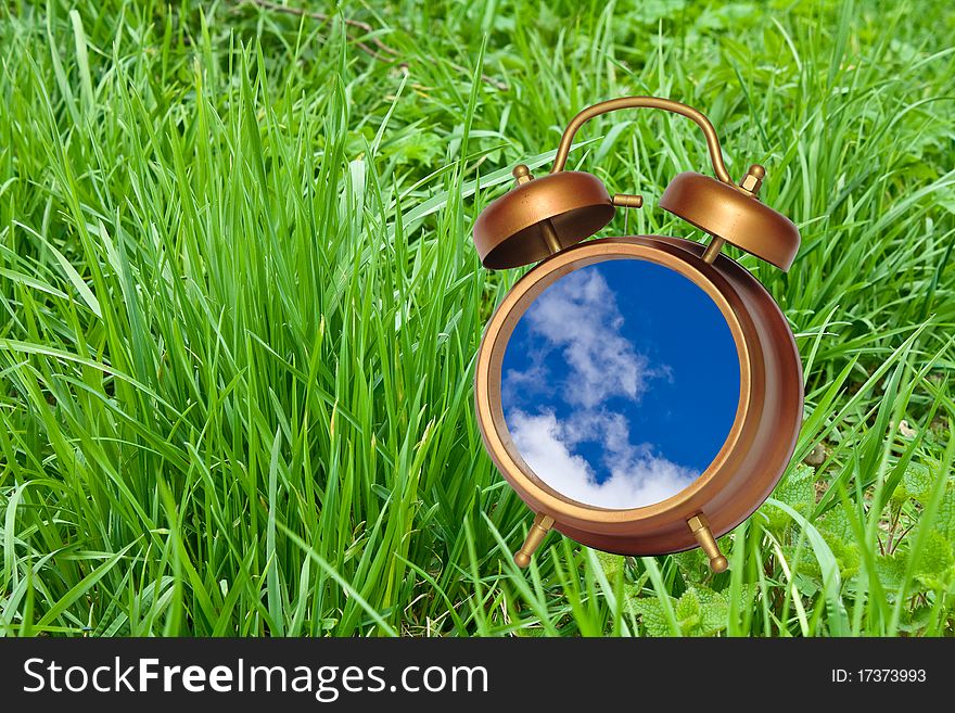 Watch the sky against a background of grass. Watch the sky against a background of grass