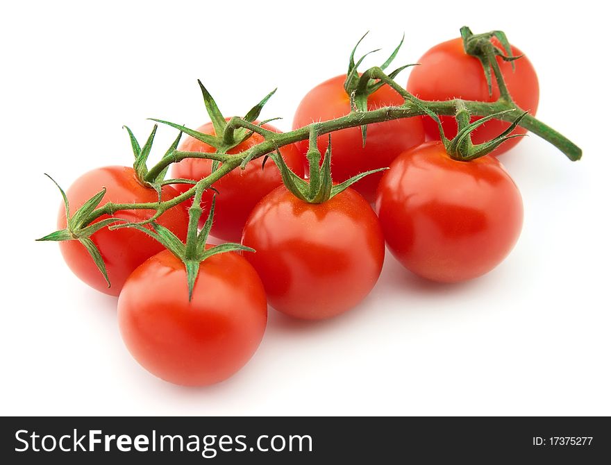 Ripe branch tomato on white background. Ripe branch tomato on white background