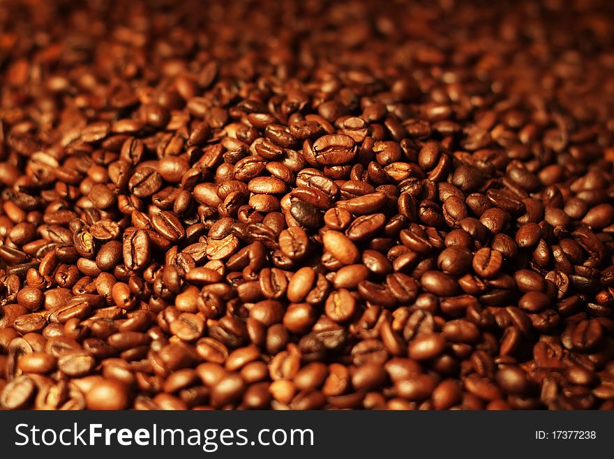 Coffee beans, close-up against a dark background