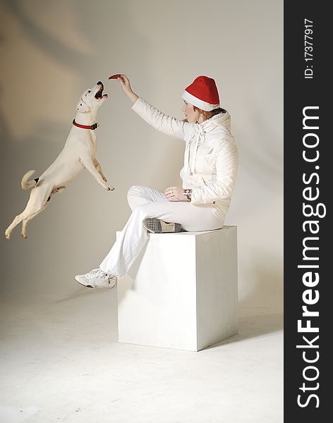 Cute girl in Xmas hat watching at white dog. Cute girl in Xmas hat watching at white dog