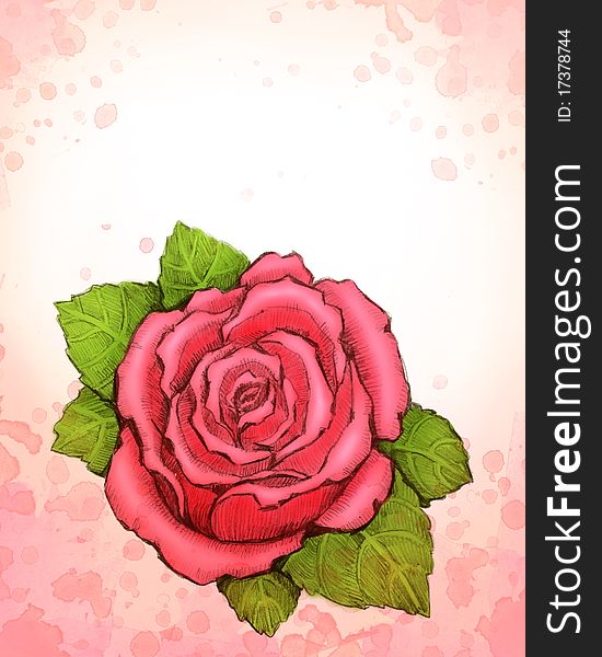 Drawing Of Rose