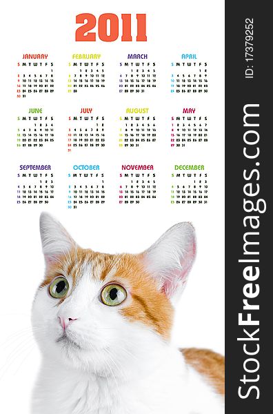 Vertical color calendar for 2011 year with cute red and white cat