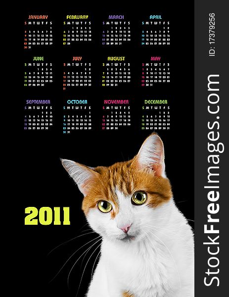 Vertical color calendar for 2011 year with cute red and white cat