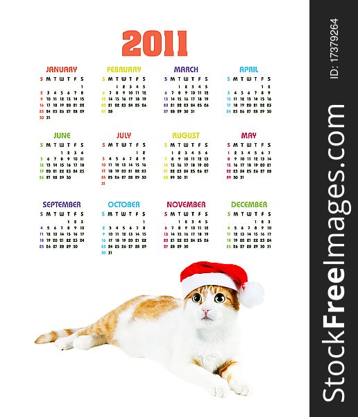 Vertical color calendar for 2011 year with cute red and white cat