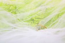 Wedding Rings And Bouquet Of Chrysanthemums Stock Images Wedding Rings And Bouquet Of Chrysanthemums Stock Images