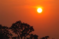 Sunset In Woods Royalty Free Stock Photos Sunset In Woods Royalty Free Stock Photos