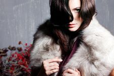 Young Beautiful Girl In A Fur Collar Stock Photography