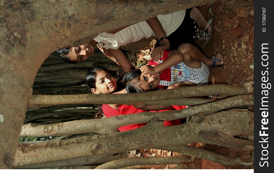 Three girls hidden behind roots of  banyan tree. Three girls hidden behind roots of  banyan tree