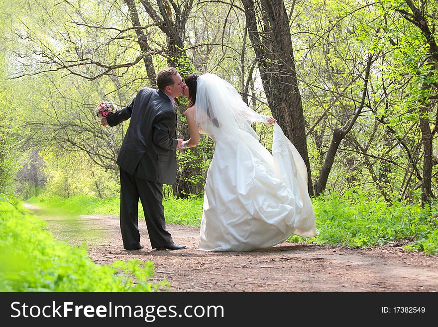 Bride and groom kissing in the park