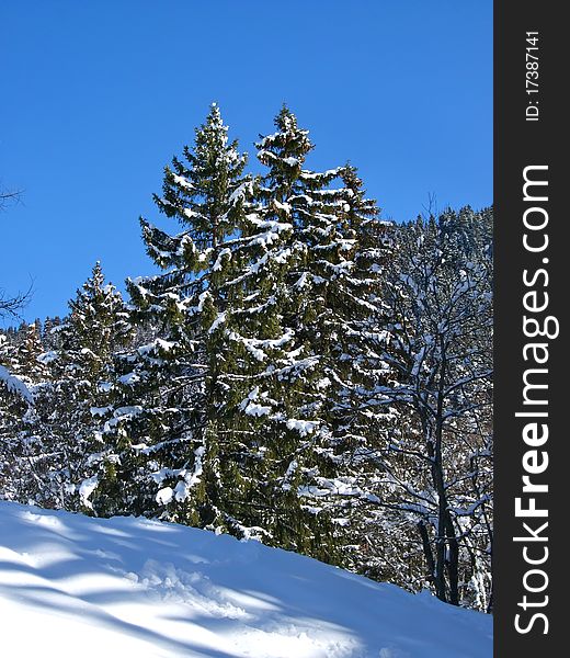 Winter mountain landscape in Switzerland