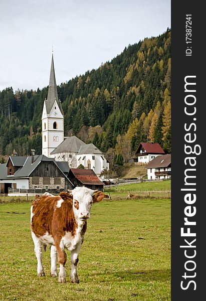 Austria In The Alps With A Church And A Moo-Cow. Austria In The Alps With A Church And A Moo-Cow