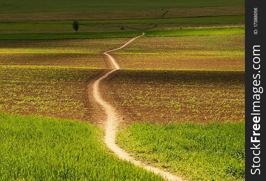 Sidewalk in the field