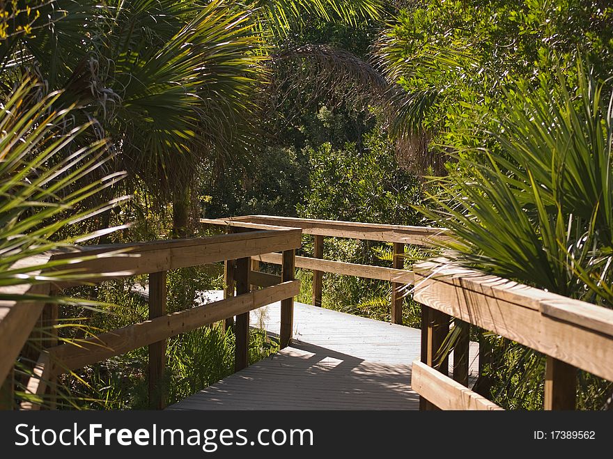 A walkway through the palm trees to the beach. A walkway through the palm trees to the beach