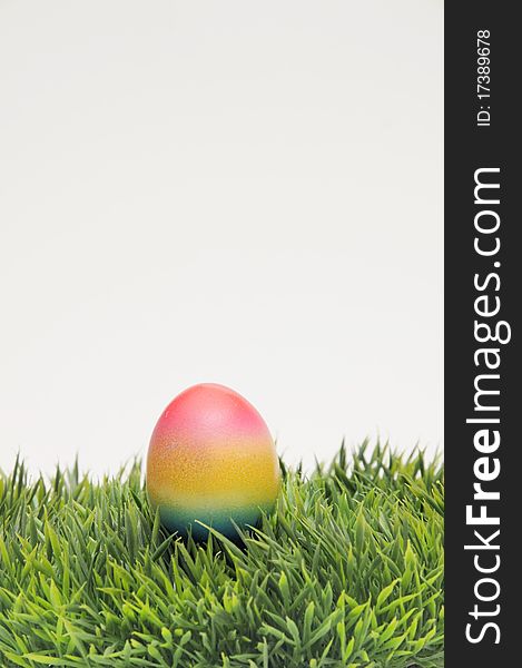 Coloured easter egg and grass
