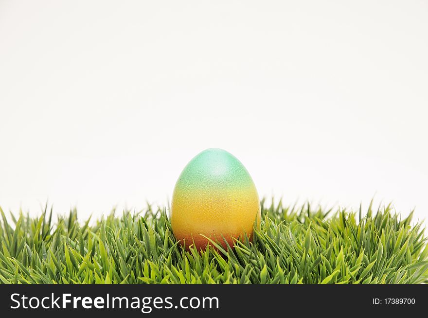 Coloured easter egg and grass