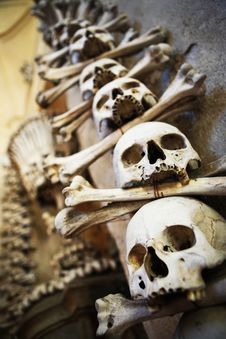 Sculls And Bones On The Wall Royalty Free Stock Photography Sculls And Bones On The Wall Royalty Free Stock Photography