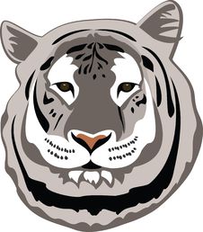 White Bengal Tiger Stock Photography