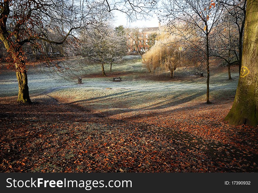 Winter Sun Creeping over Frozen Ground