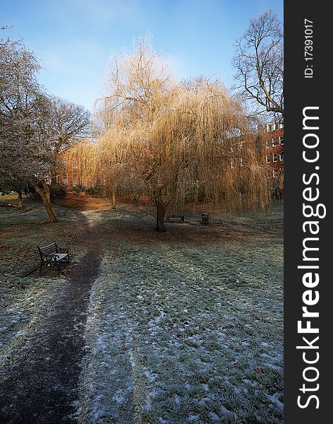 Winter Sun Creeping over Frozen Ground