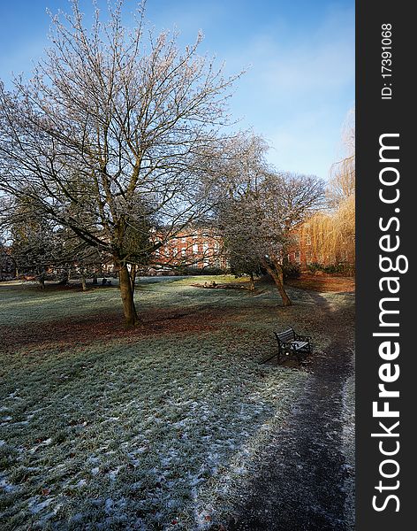 Winter Sun Creeping over Frozen Ground