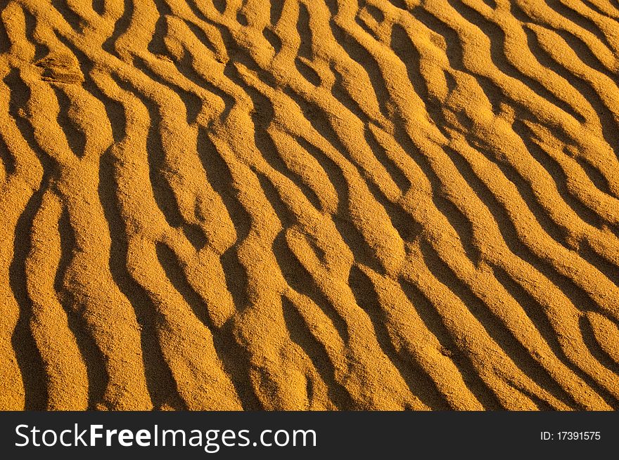 Ripples in sand from wind. Ripples in sand from wind