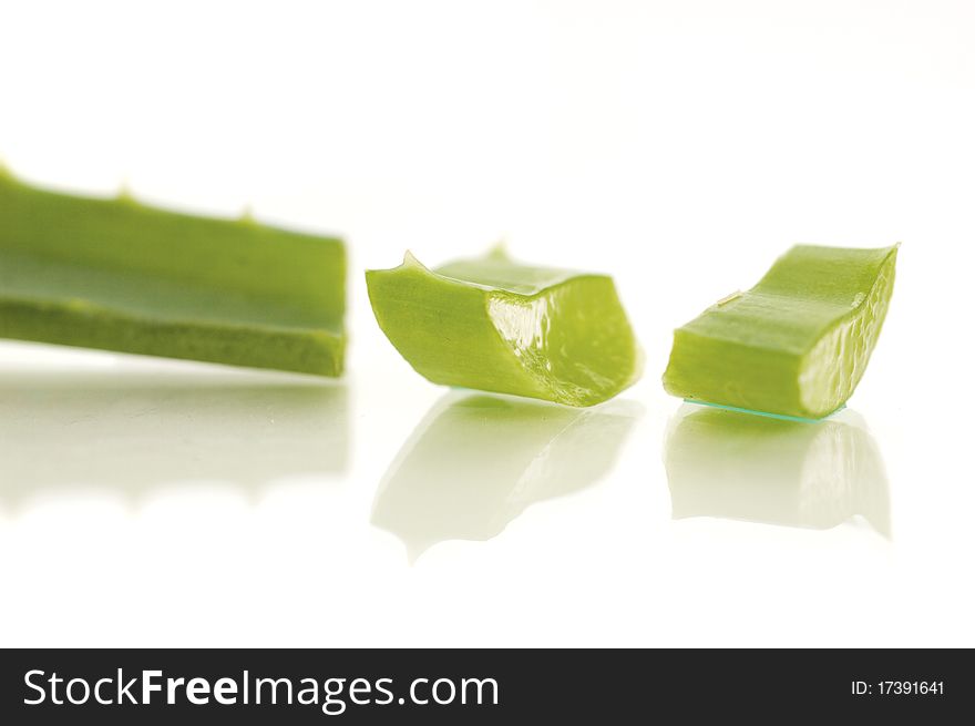 Aloe vera isolated on white background (shallow doff). Aloe vera isolated on white background (shallow doff)